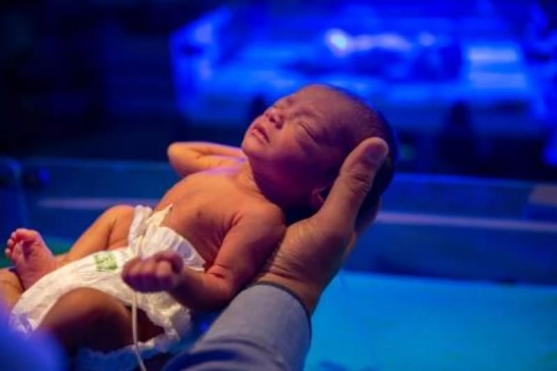 अब WhatsApp पर मिलेगा बच्चे का जन्म प्रमाण पत्र! भोपाल के हमीदिया अस्पताल ने बदली पुरानी व्यवस्था