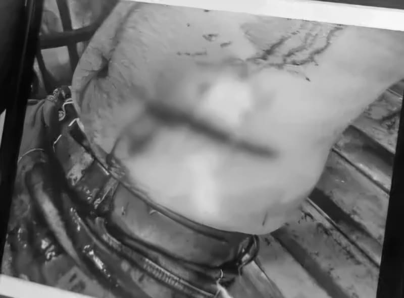 भोपाल में घूरने के विवाद ने लिया खतरनाक मोड़, 6 लोगों ने युवक को पीटा, चाकू से हमला कर गंभीर घायल किया