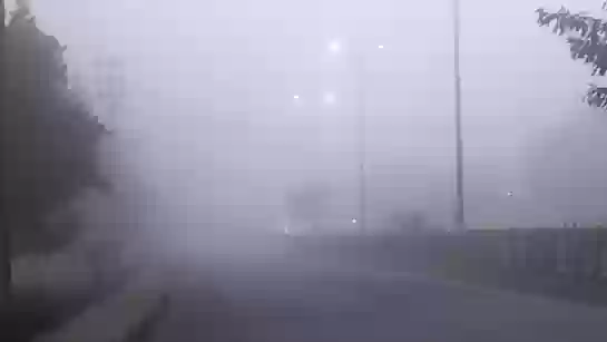 MP Weather Update: मावठे के बाद कोहरे की मार, 20 से ज्यादा जिलों में विजिबिलिटी 50 मीटर तक गिरी