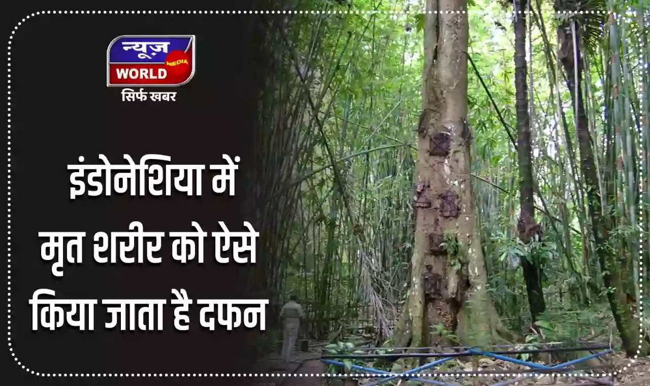 इंडोनेशिया की अजीबोगरीब परम्परा जानकर हो जाएंगे हैरान,  मृत शरीर को ऐसे किया जाता है दफन