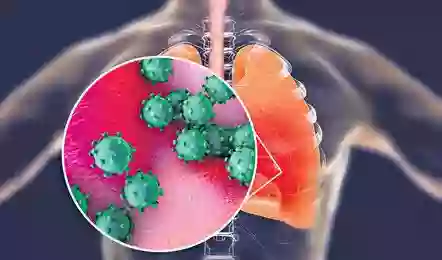 H3N2 वायरस से भारत में हुई पहली मौतें, कर्नाटक और हरियाणा के दो मरीजों ने भी तोड़ा दम