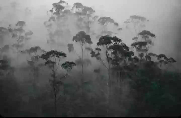 चक्रवात 'असानी' ने बदला अपना रस्ता, तेज़ी से बढ़ रहा अब आंध्र की ओर