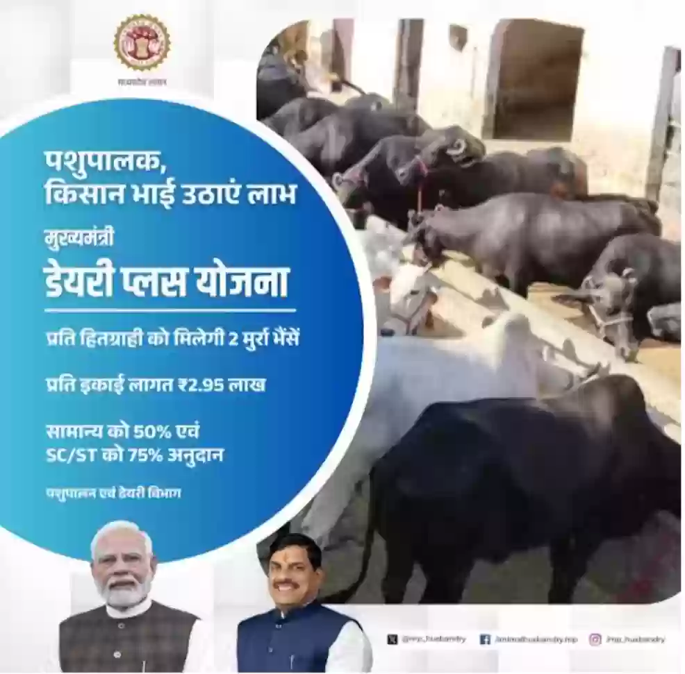 पशुपालन, डेयरी से संबंधित योजनाओं और पशु कल्याण के प्रति पशुपालकों, किसानों, छात्र-छात्राओं को किया जाएगा जागरूक