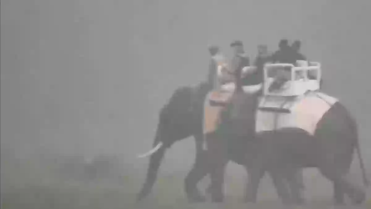 असम में सुबह-सुबह काजीरंगा उद्यान में सैर पर निकले पीएम मोदी, हाथी पर हुए सवार