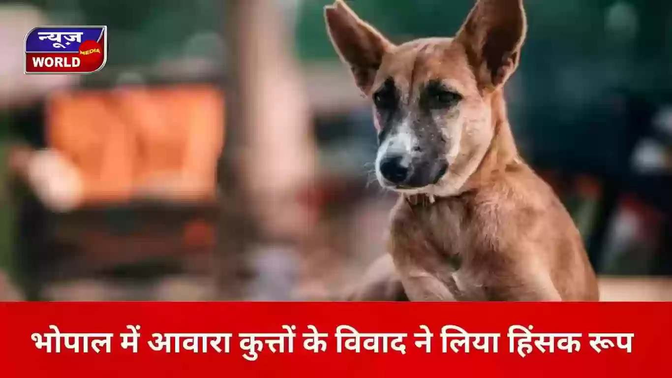 भोपाल के अयोध्या नगर में डॉग लवर्स का हमला, आवारा कुत्तों को लेकर विवाद बढ़ा… तलवार से वार कर 2 महिलाओं को किया घायल