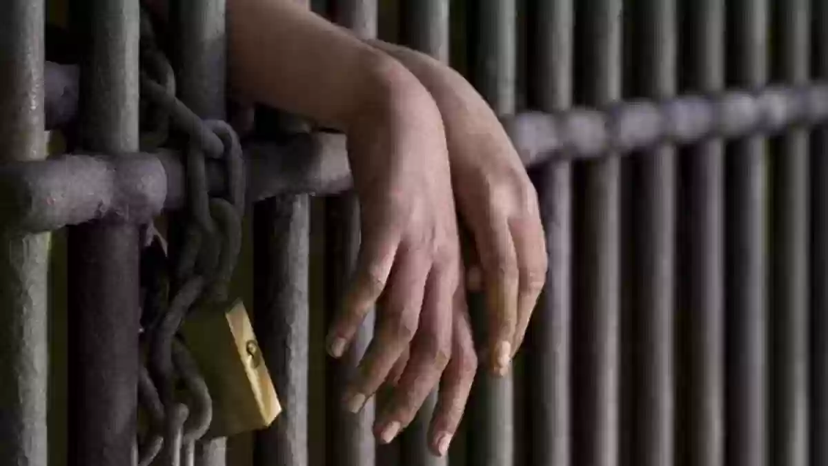MP News : फर्जी डोमिसाइल पर मेडिकल सीट लेने वाले दो डॉक्टर जेल गए