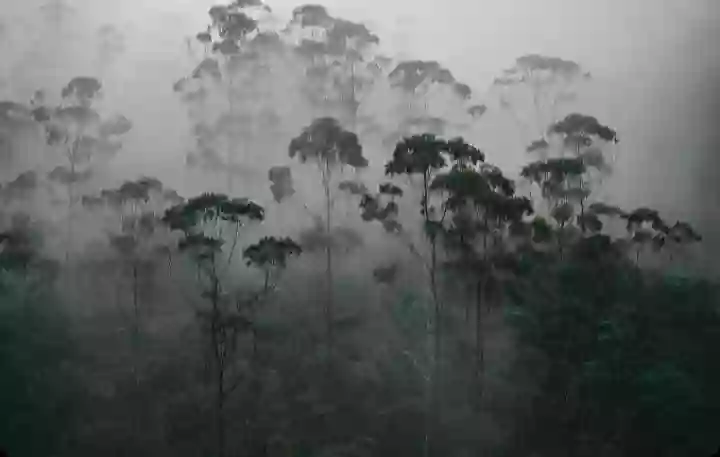 1 जून से पहले केरल पहुंच जाएगा मॉनसून, इस बार होगी अधिक बारिश