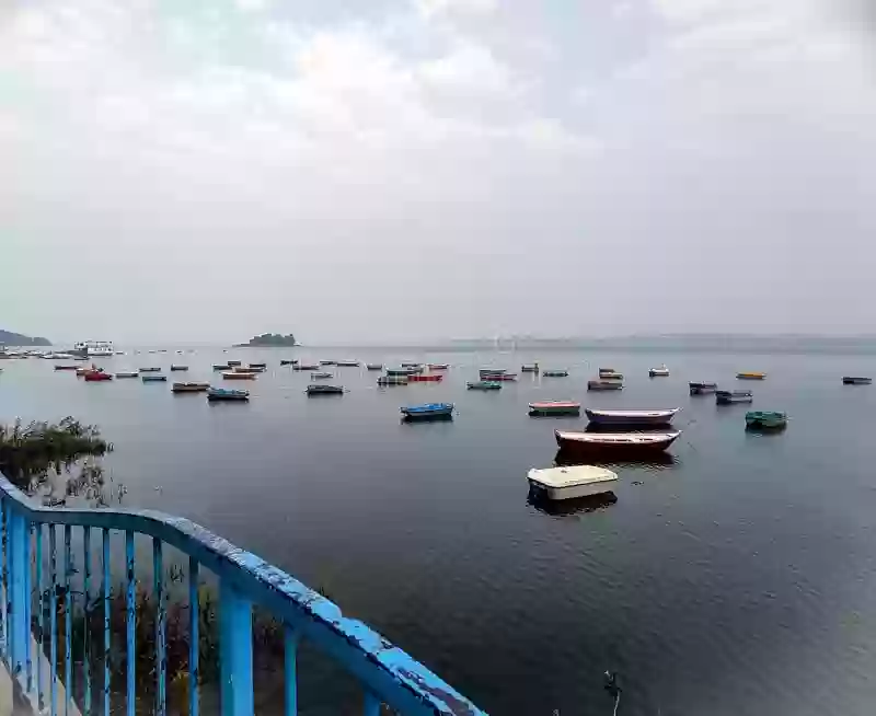 मध्यप्रदेश में सर्दी ने तोड़ा रिकॉर्ड,भोपाल,इंदौर में हिल स्टेशनों से भी कम तापमान