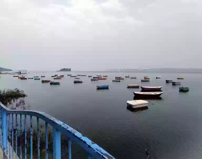 हवाओं का रुख बदलने से भोपाल,इंदौर में राहत, ग्वालियर,चंबल संभाग में बढ़ी ठंडक