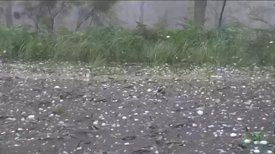 MP Weather Alert: पश्चिमी विक्षोभ से बदला मौसम, नीमच में ओले, ओरछा में 42 मिमी बारिश