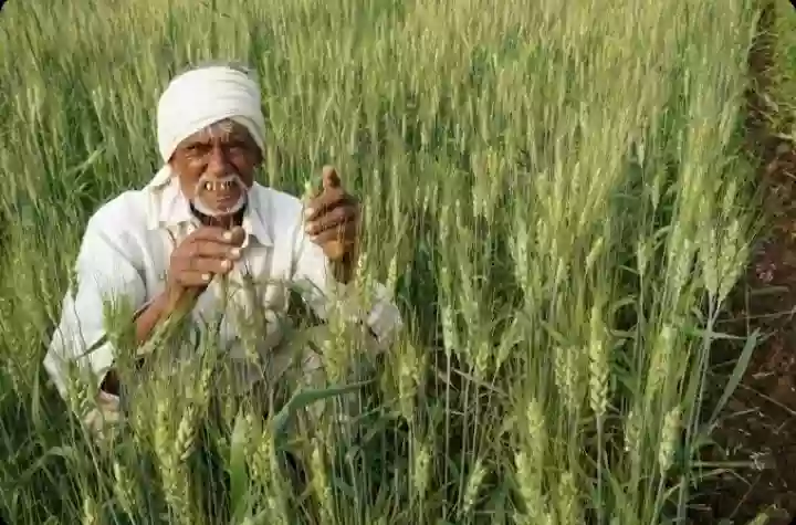 किसान को लिए मौसम विभाग ने जारी की नई एडवाइजरी