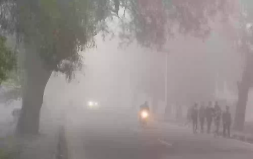 मध्यप्रदेश पर ठंड और कोहरे का पहरा, 24 जिलों में स्कूलों की छुट्टी घोषित,4 में बदला समय