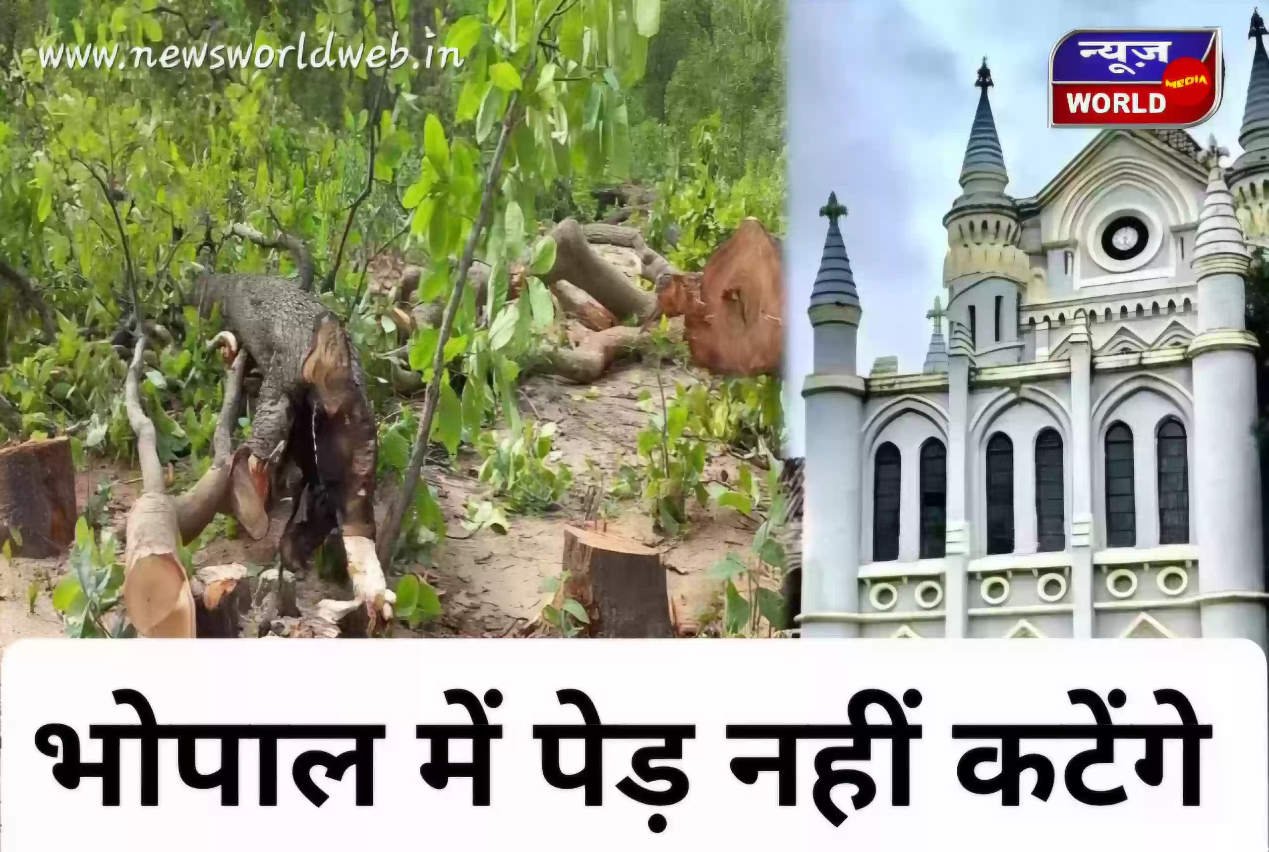 भोपाल की सड़कों पर चलेगा वैकल्पिक प्लान! 27 चौराहों का प्रोजेक्ट बदला, पेड़ नहीं कटेंगे