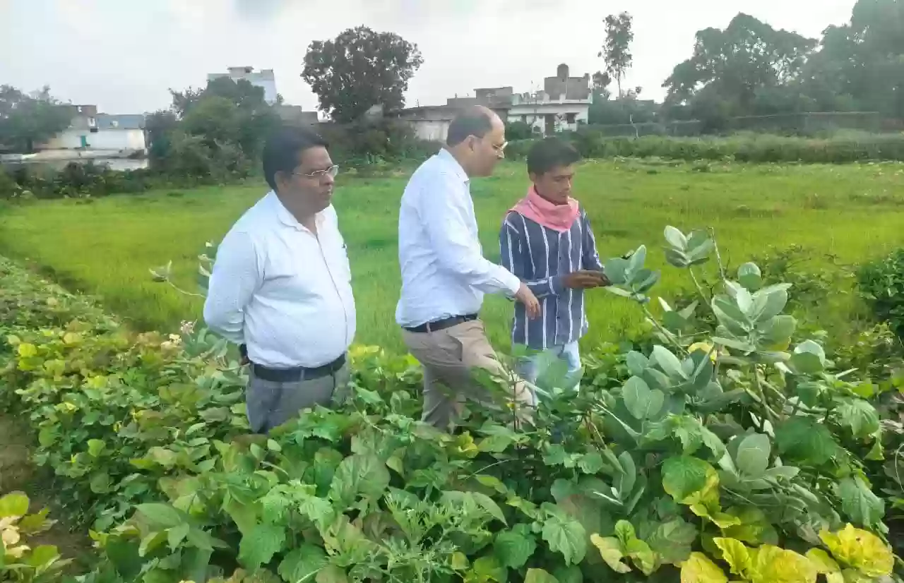रायपुर जिले में किया जा रहा डिजिटल क्रॉप सर्वे, किसानों को अब आसानी से बीमा व अन्य योजनाओं का मिलेगा लाभ