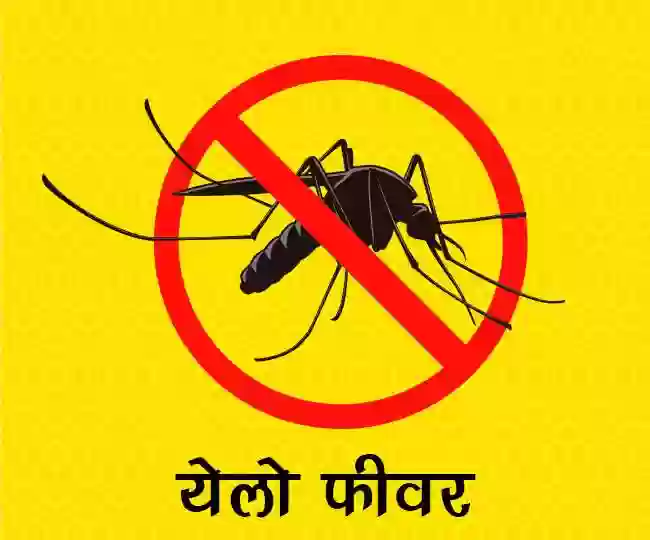 एम्स भोपाल में यलो फीवर टीका उपलब्ध, अंतरराष्ट्रीय यात्रा से पहले अनिवार्य हैं ये टीकाकरण