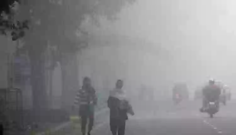 मध्यप्रदेश में ठंड और कोहरे की दोहरी मार,फिलहाल राहत के आसार नहीं