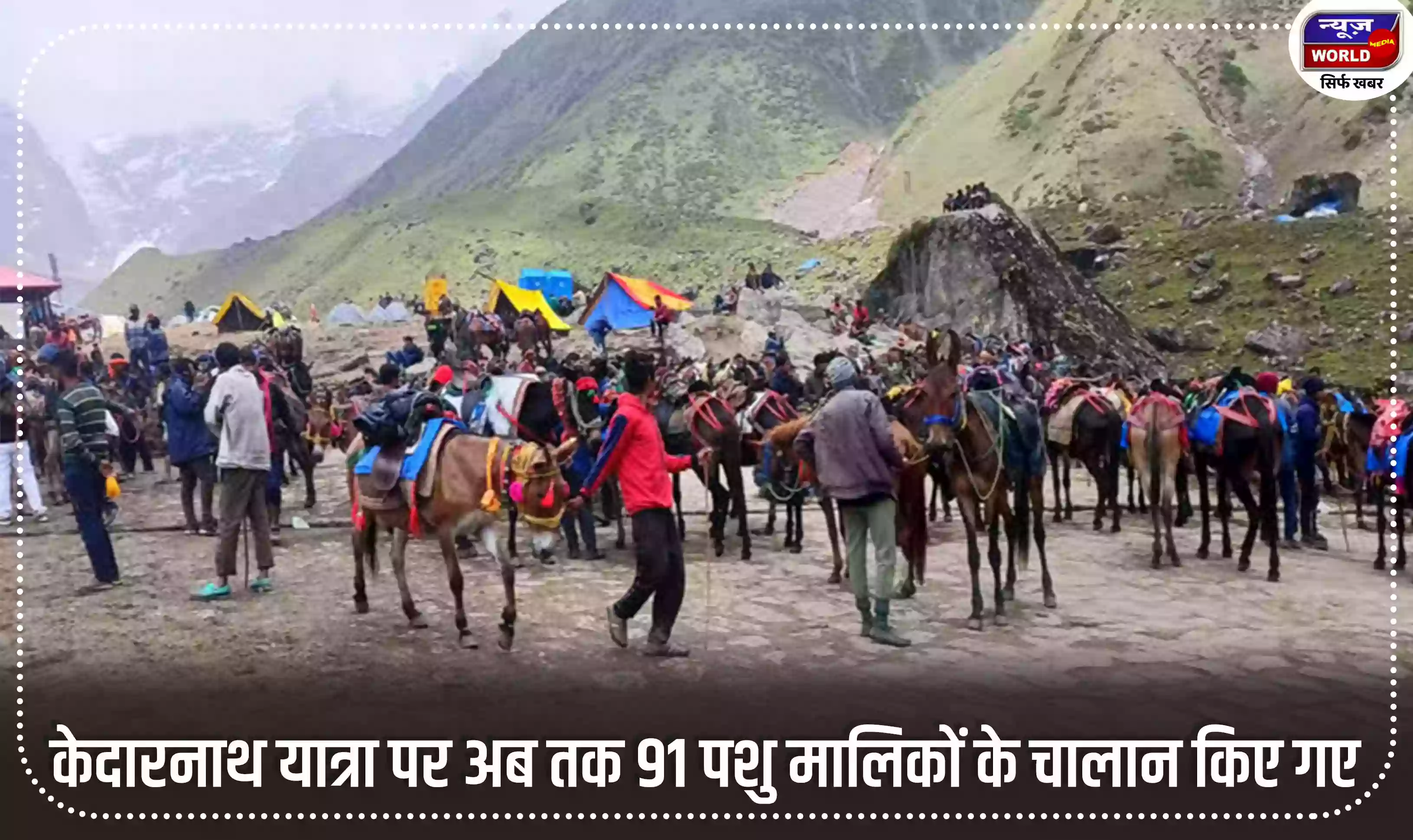 केदारनाथ यात्रा मार्ग पर अब तक 140 घोड़े और खच्चरों की मौत, 91 पशु मालिकों के चालान किए गए