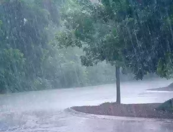 मौसम विज्ञान विभाग ने केरल, लक्षद्वीप में भारी बारिश की चेतावनी दी