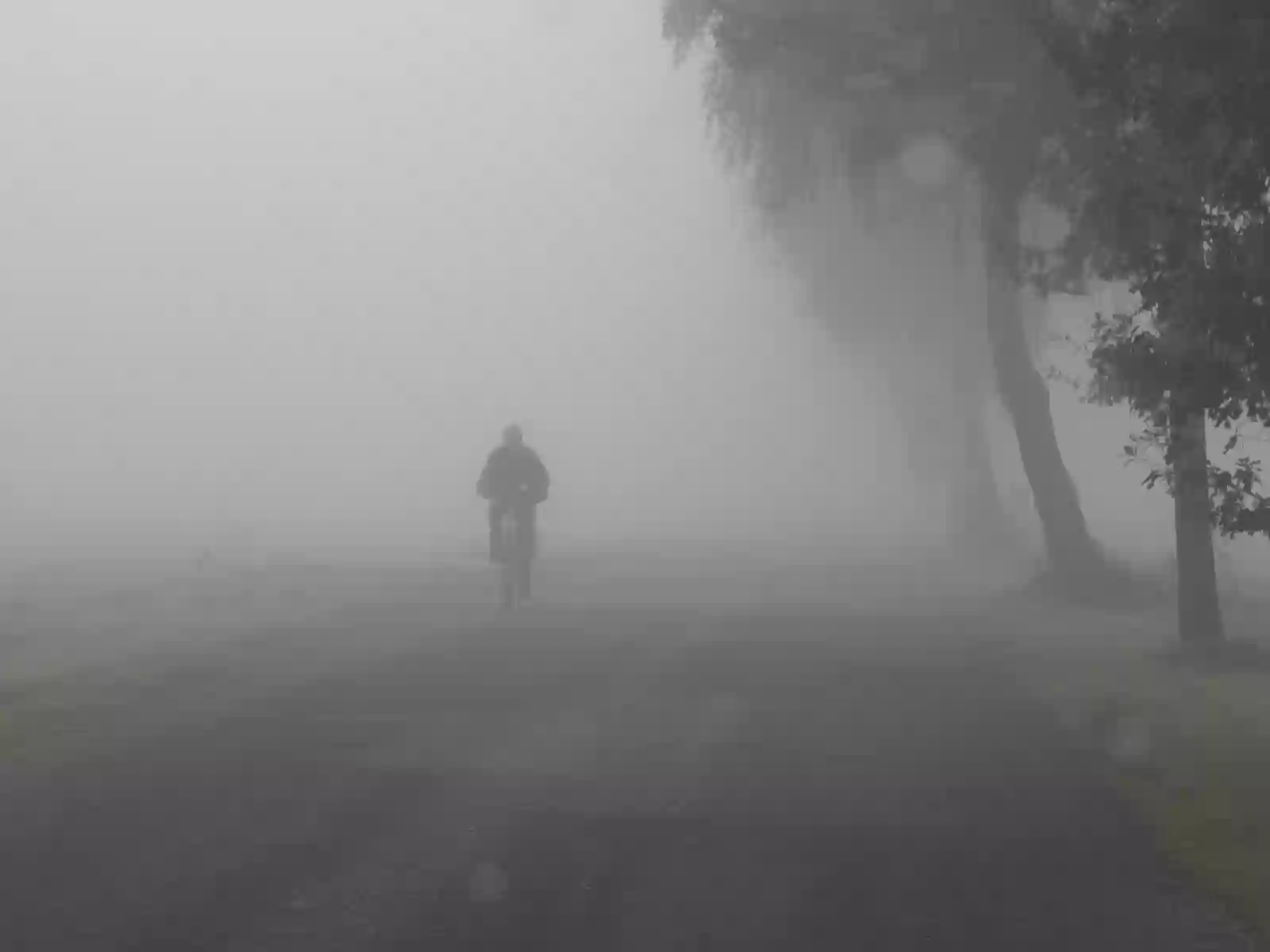 बारिश,ओले से दिन के तापमान में आई गिरावट,कल से बारिश नया सिस्टम एक्टिव होने की संभावना