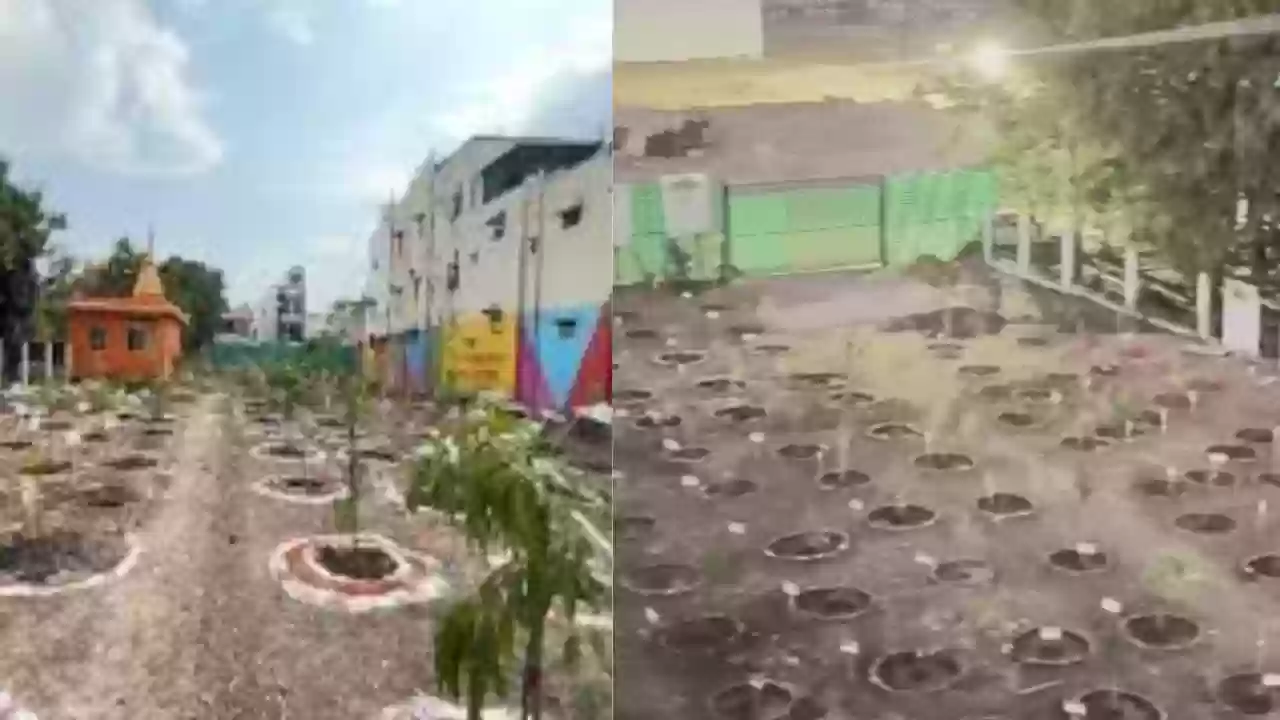 Indore Bird Garden News: इंसानों के लिए बंद, सिर्फ पक्षियों के लिए खुला अनोखा गार्डन, 300 फलदार पौधे लगाए गए