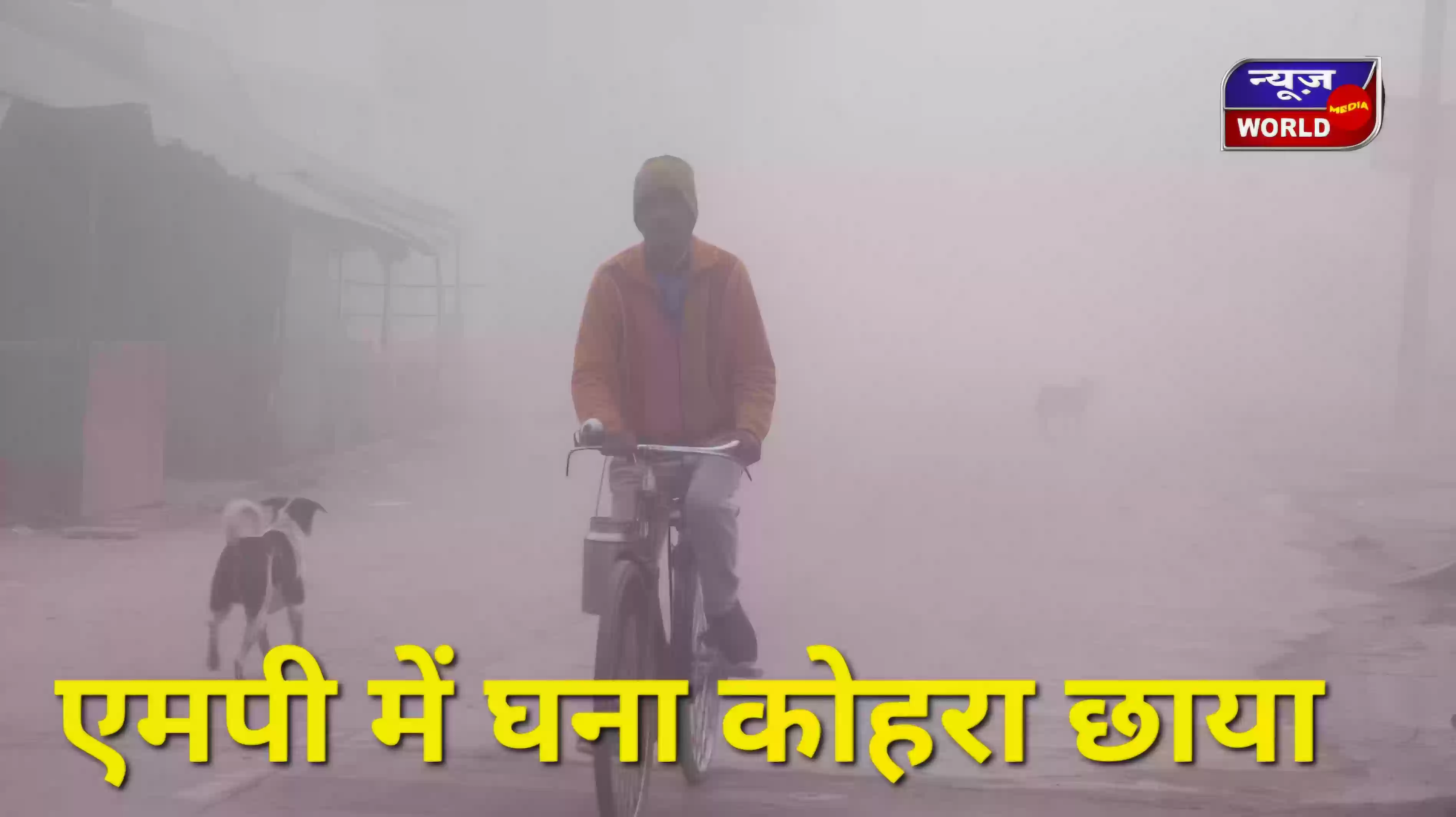 MP में 50 मीटर विजिबिलिटी! घने कोहरे से ठप जनजीवन, दतिया-रीवा सबसे ज्यादा प्रभावित