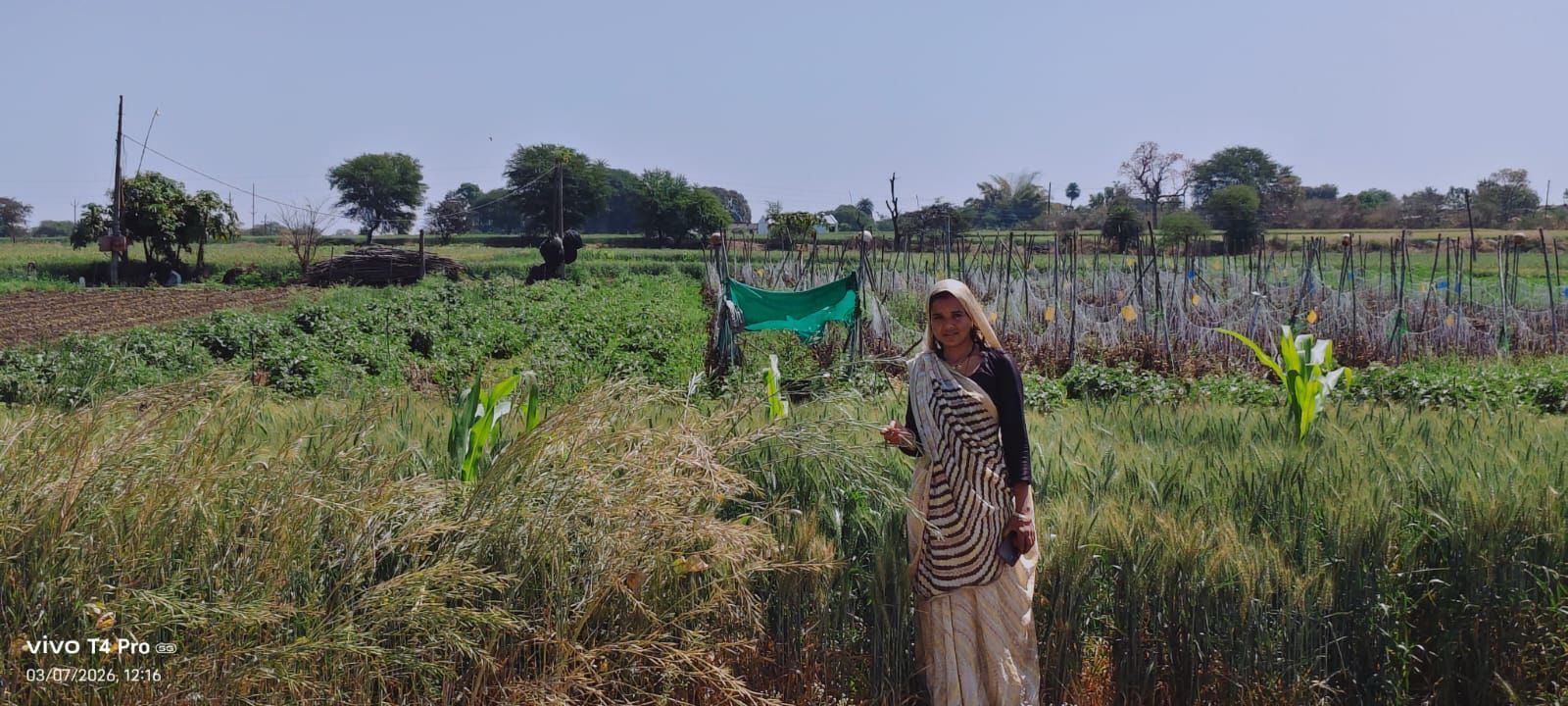 मिट्टी से जुड़ा हौसला बना पहचान: पूजा माहौरे ने प्राकृतिक खेती से रची सफलता की मिसाल
