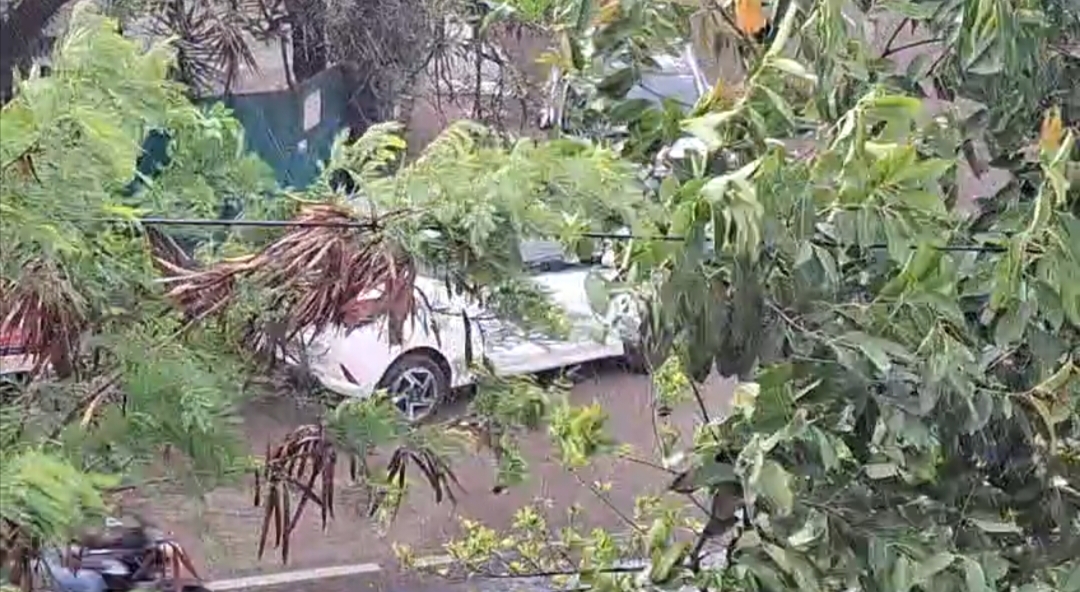 मध्यप्रदेश में आंधी और बारिश का सिलसिला जारी,मौसम विभाग ने अगले 3 दिन के लिए जारी किया अलर्ट