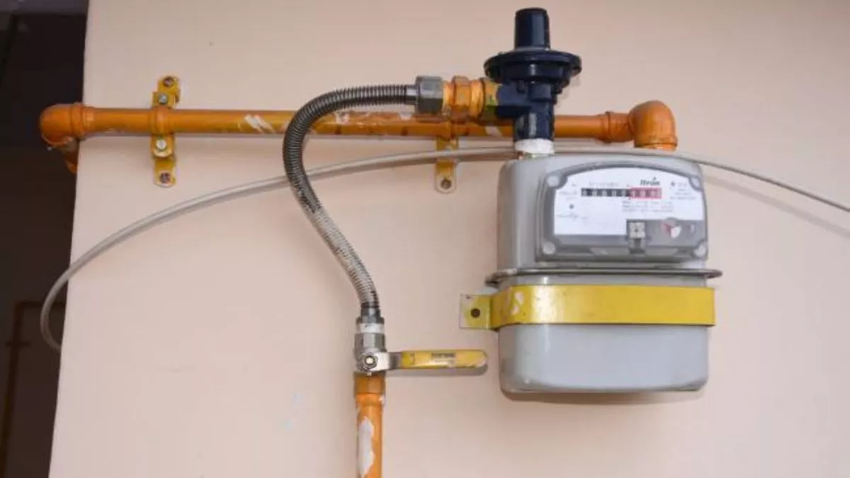 जिस हाउसहोल्‍ड में पीएनजी की लाइन कनेक्‍ट, वहां 10 दिन के अंदर शुरू करें पीएनजी सप्‍लाई: रश्मि अरूण