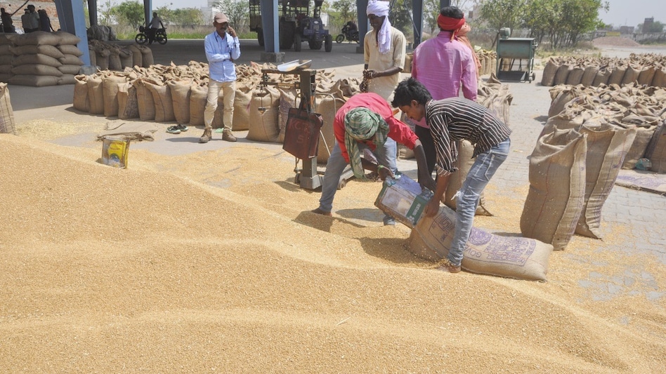 समर्थन मूल्य गेहूं विक्रय भुगतान में विदिशा बना प्रदेश में अग्रणी, किसानों के खातों में पहुंची पहली राशि