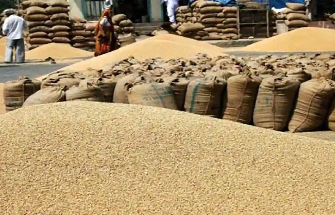 किसानों की सुविधा के लिए गेहूं उपार्जन केंद्रों पर तौल कांटों की संख्या 4 से बढ़कर 6 कर दी गई: गोविंद सिंह राजपूत