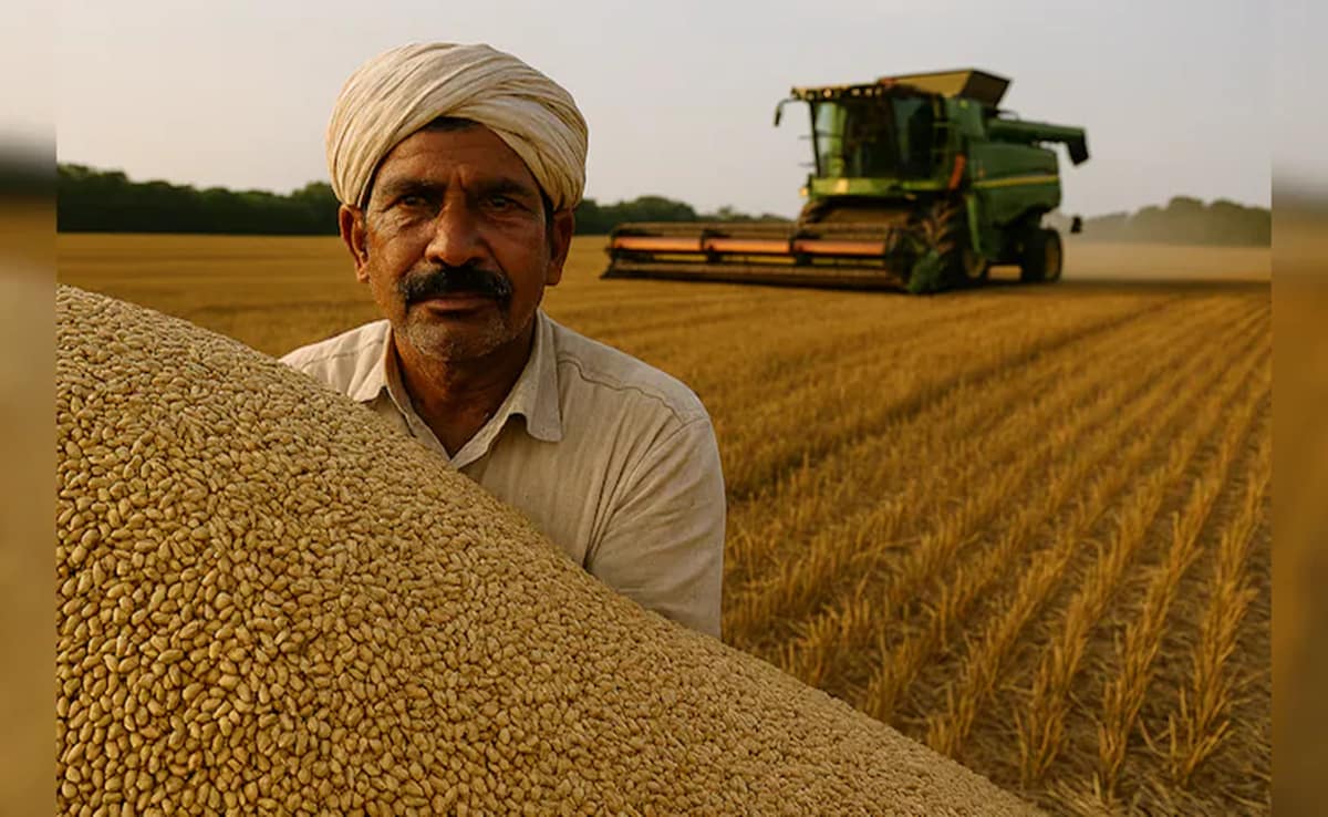 MP Wheat Procurement: गेहूं खरीदी में मध्यप्रदेश ने पंजाब-हरियाणा को पीछे छोड़ा