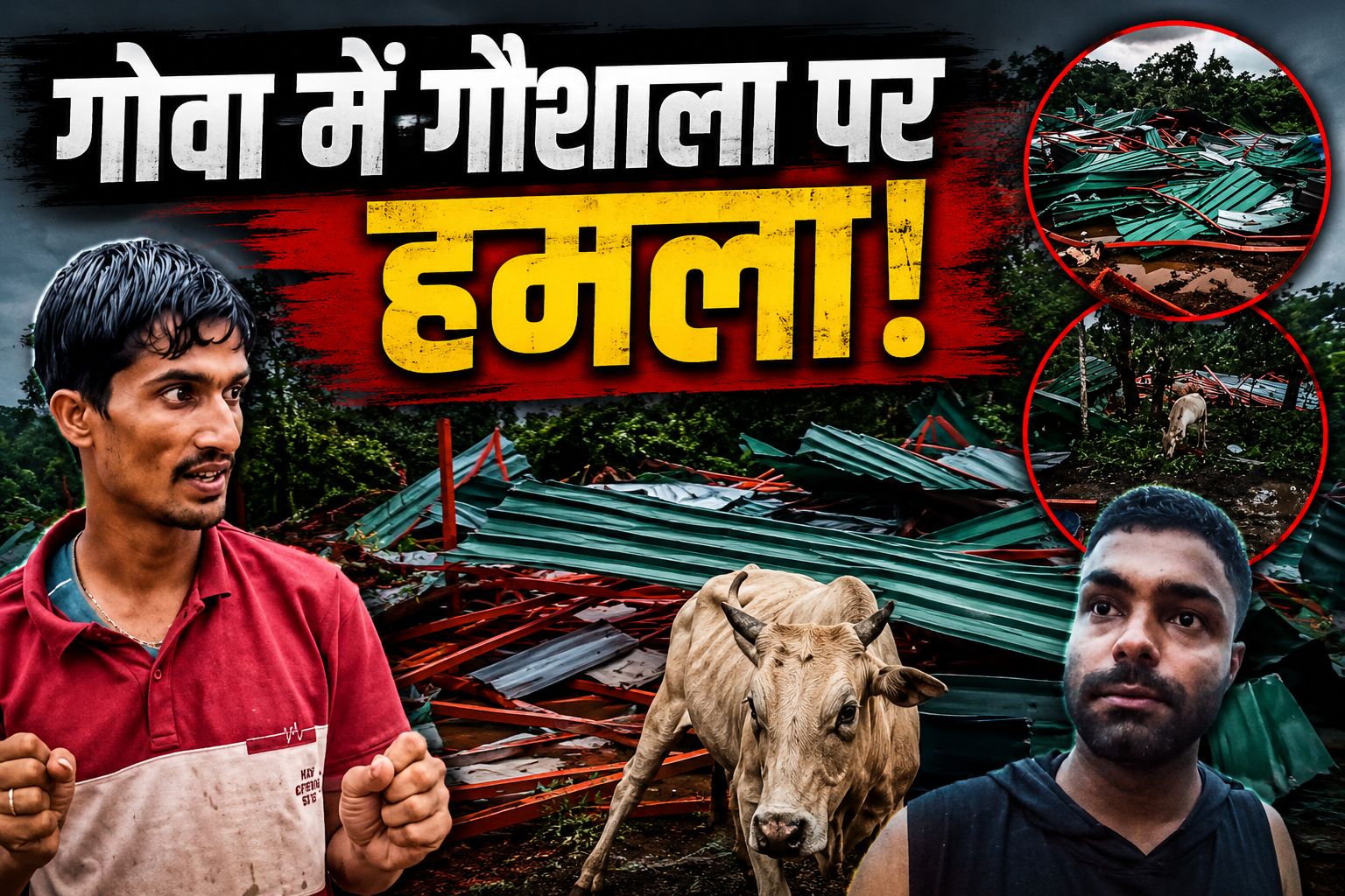 गोवा में आधी रात गौशाला पर 'धावा'! 150 लोगों ने बुलडोजर से तोड़े शेड, 300 गौवंश बेघर होने का दावा, CCTV भी तोड़े जाने का आरोप