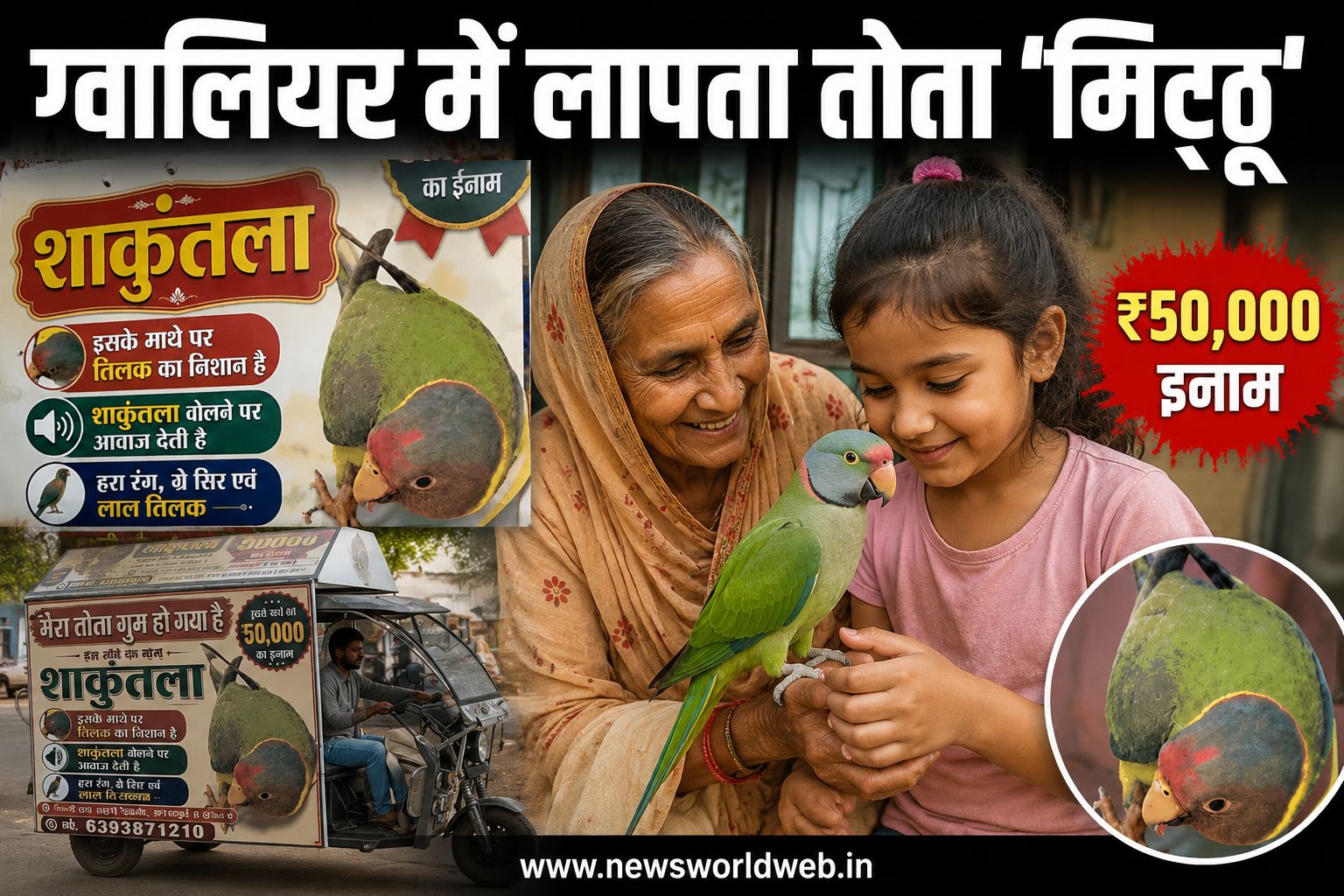 ग्वालियर: 3 दिन से लापता मिट्ठू की तलाश में पूरा शहर, लौटाने वाले को मिलेगा ₹50 हजार