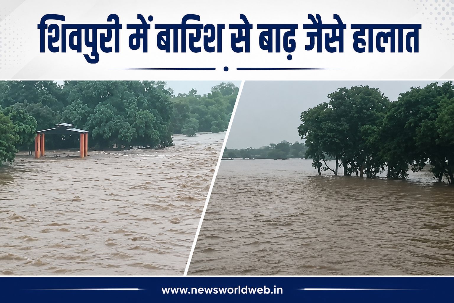 शिवपुरी में बारिश से महुअर नदी उफनी, कई गांवों में घुसा पानी; फसलें डूबीं, फिर भी सामान्य से 500 मिमी कम बारिश