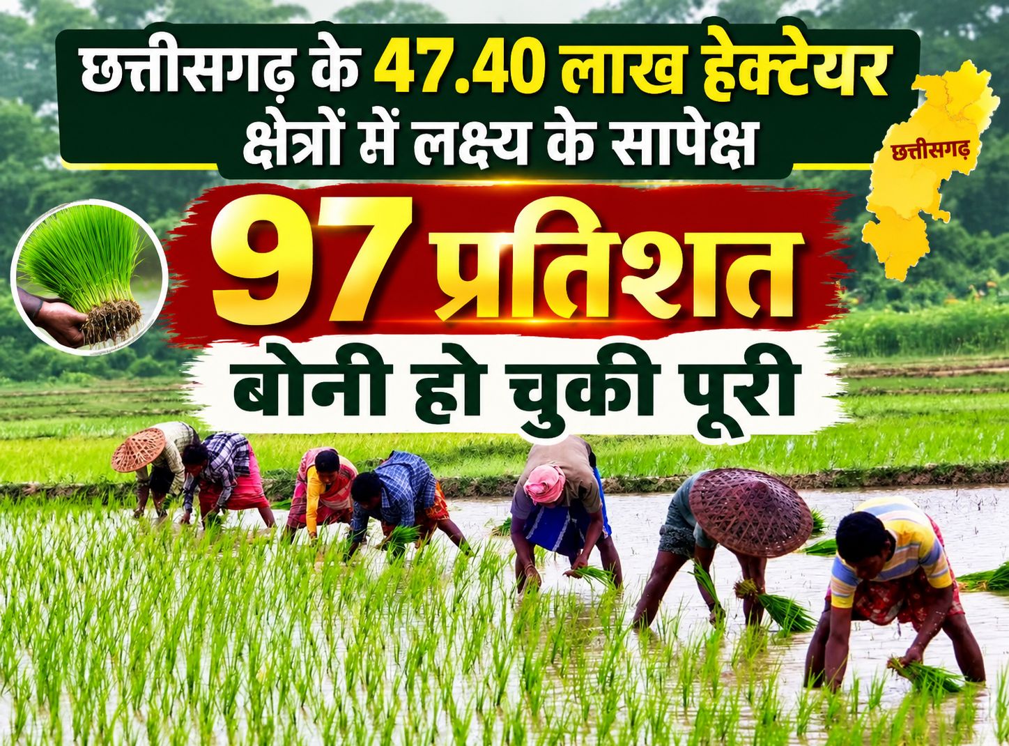 छत्तीसगढ़ :खरीफ सीजन में 97 फीसदी बोनी पूरी, 47.40 लाख हेक्टेयर में फसलें