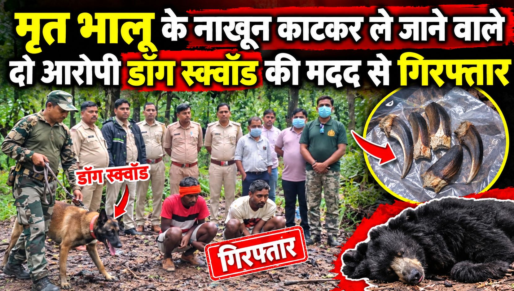 मृत भालू के नाखून काटकर ले जाने वाले दो आरोपी डॉग स्क्वॉड की मदद से गिरफ्तार