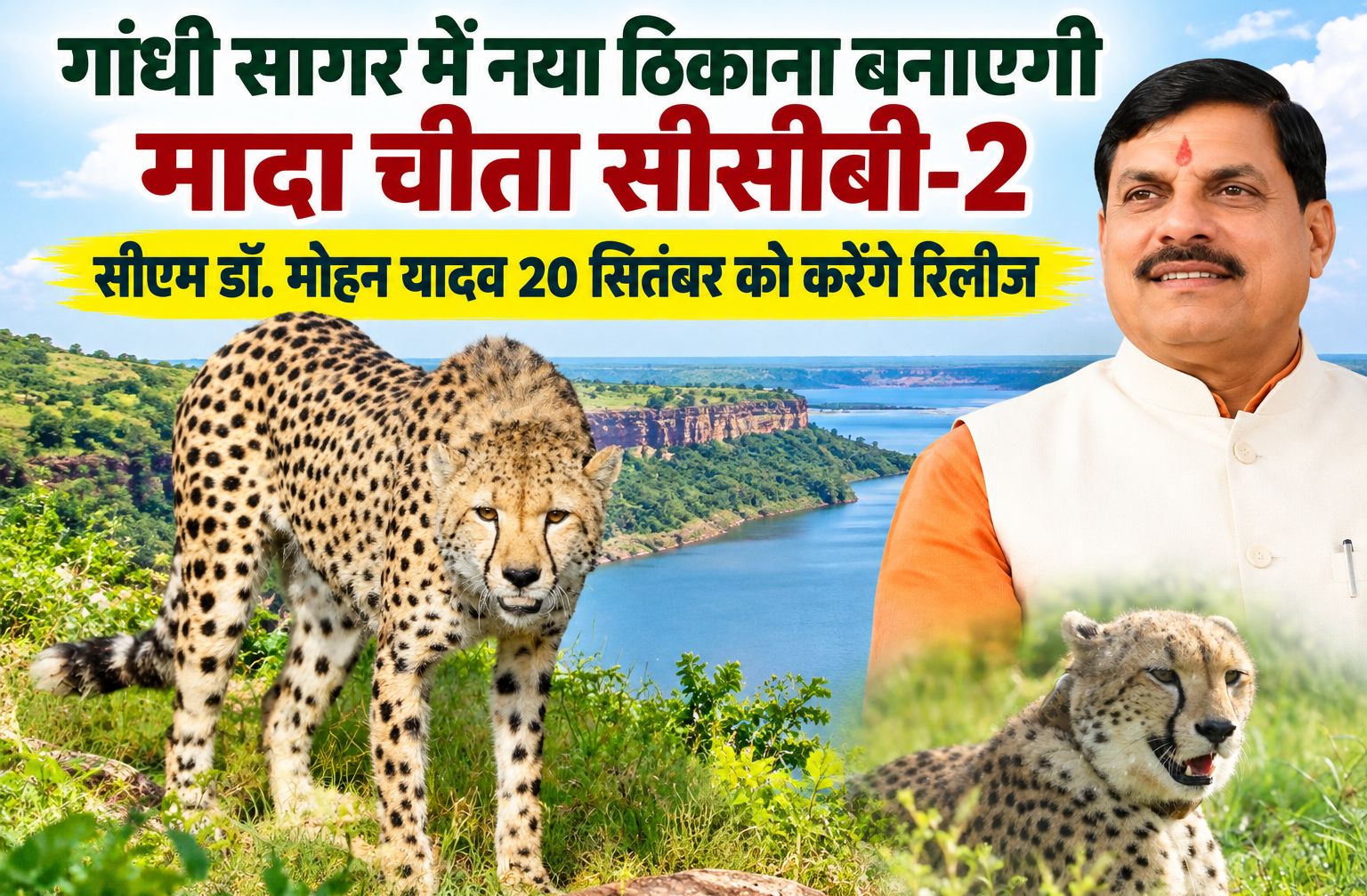 गांधी सागर में नया ठिकाना बनाएगी मादा चीता सीसीबी-2, सीएम डॉ. मोहन यादव 20 सितंबर को करेंगे रिलीज