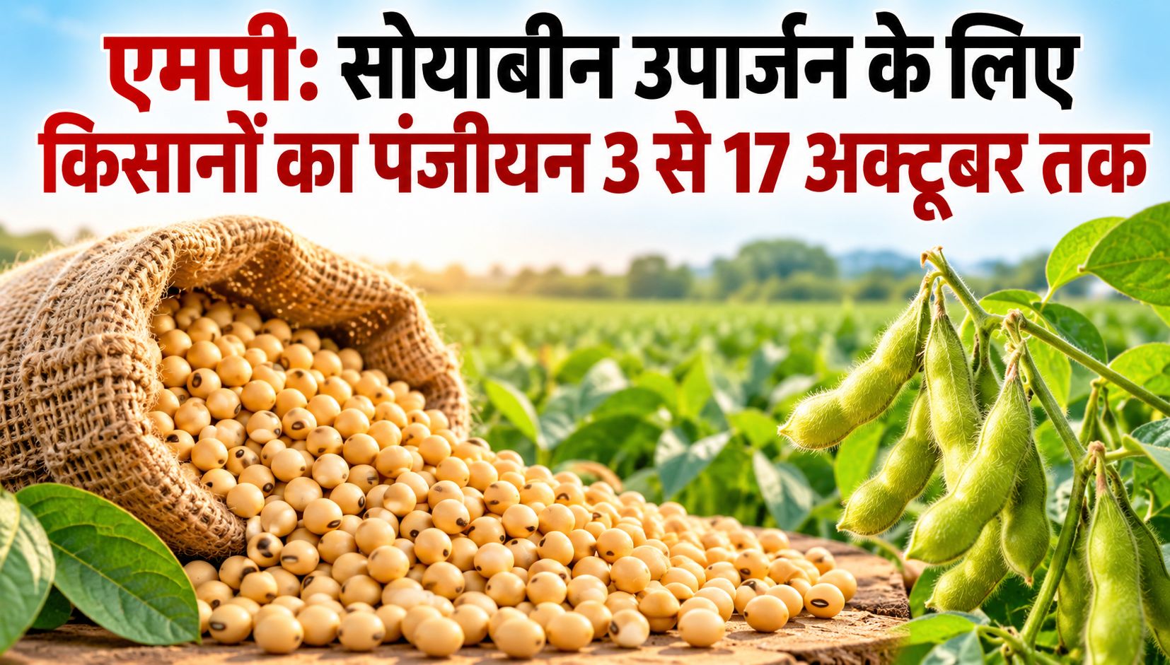 एमपी: सोयाबीन उपार्जन के लिए किसानों का पंजीयन 3 से 17 अक्टूबर तक