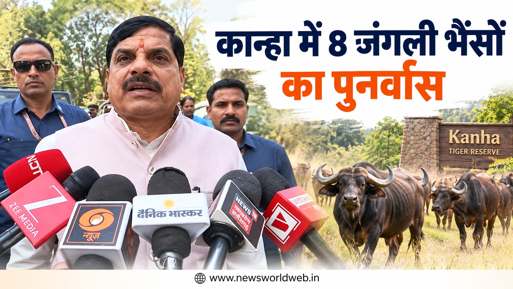 कान्हा में 8 जंगली भैंसों का पुनर्वास, CM मोहन यादव ने सराहा