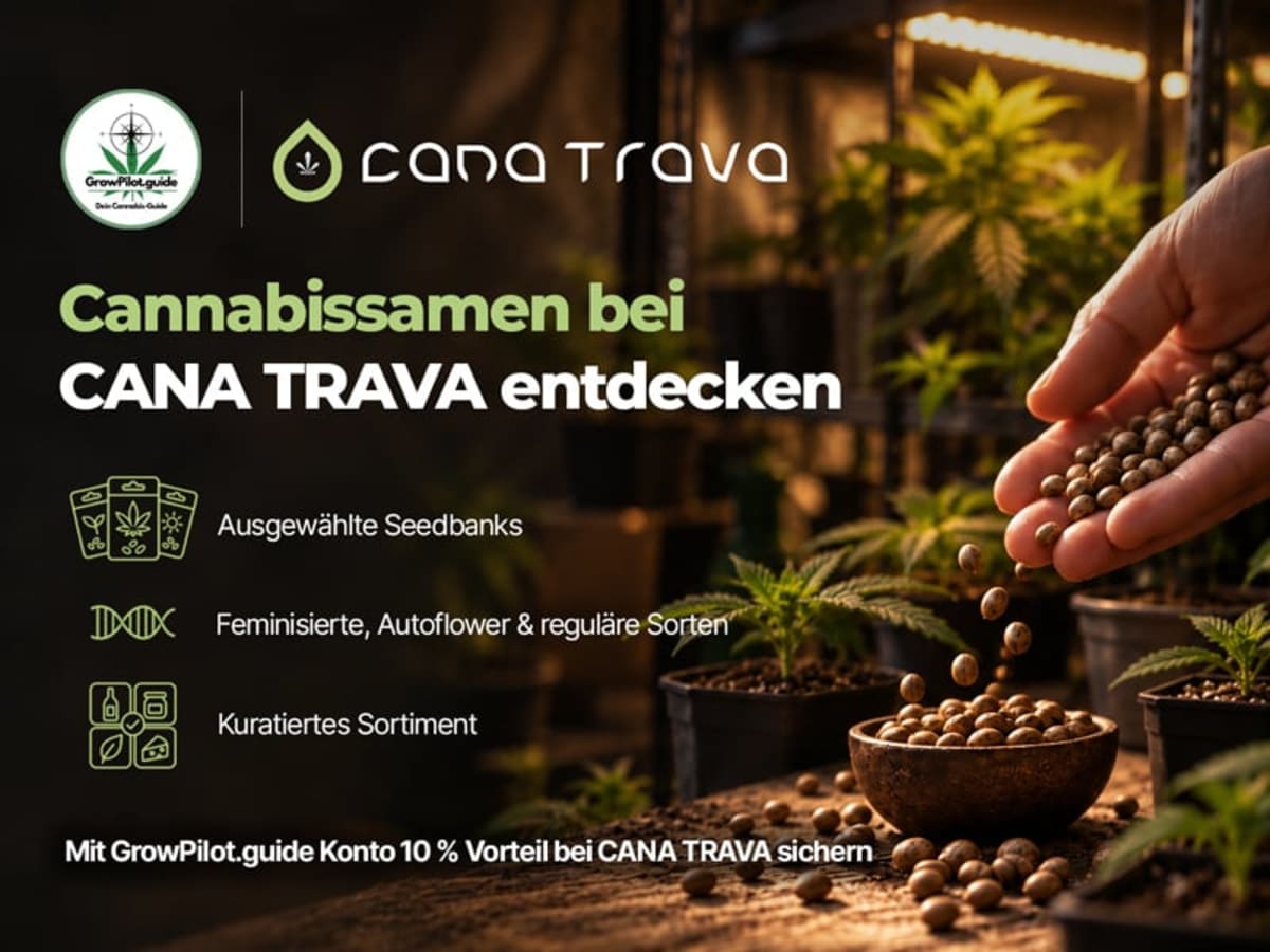 10 % Vorteil bei CANA TRAVA – exklusiv für GrowPilot.guide Nutzer Partnerbild