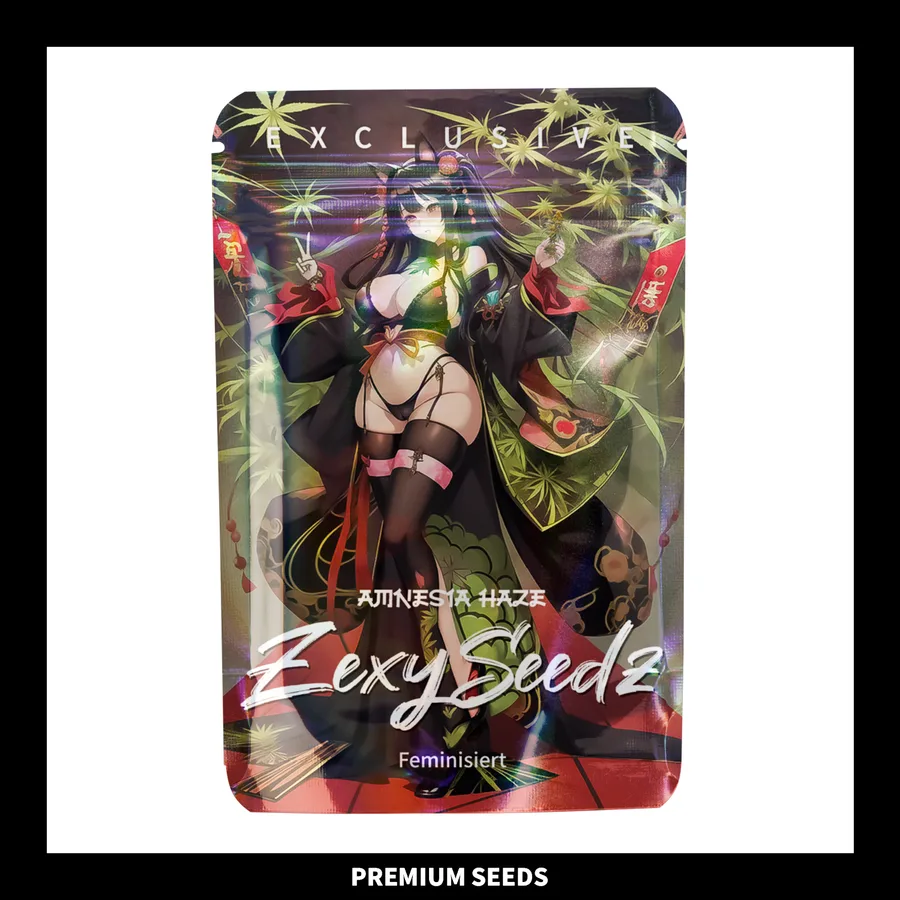 Amnesia Haze fem Seed-Pack von ZexySeedz mit illustriertem Verpackungsdesign vor neutralem Hintergrund