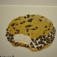 Chipwich mini print