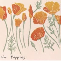 California Poppies mini print