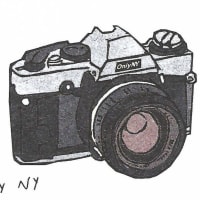 Only NY (35mm) mini print