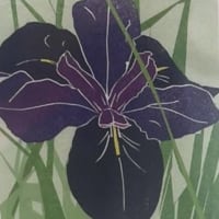 La Iris mini print