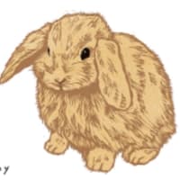 Bunny mini print