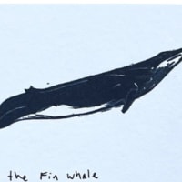 Lunch the Fin Whale mini print