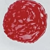 Salami mini print