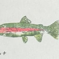 Trout mini print