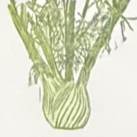 Fennel mini print